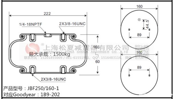 JBF250-160-1松夏牌开云体育手机版appGoodyear固特异1B9-202